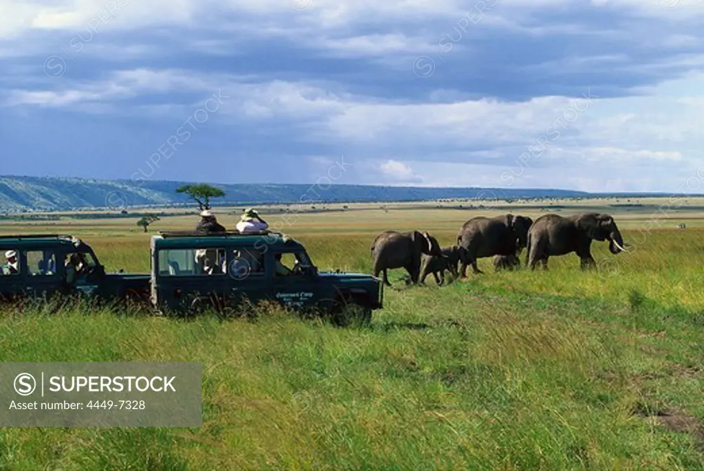 Elephant Safari tour with jeep, Kenya, Africa