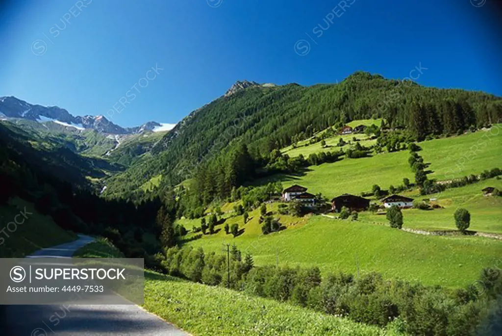 Green meadows at valley Tauferer Ahrntal under blue sky, Puster valley, South Tyrol, Italy, Europe