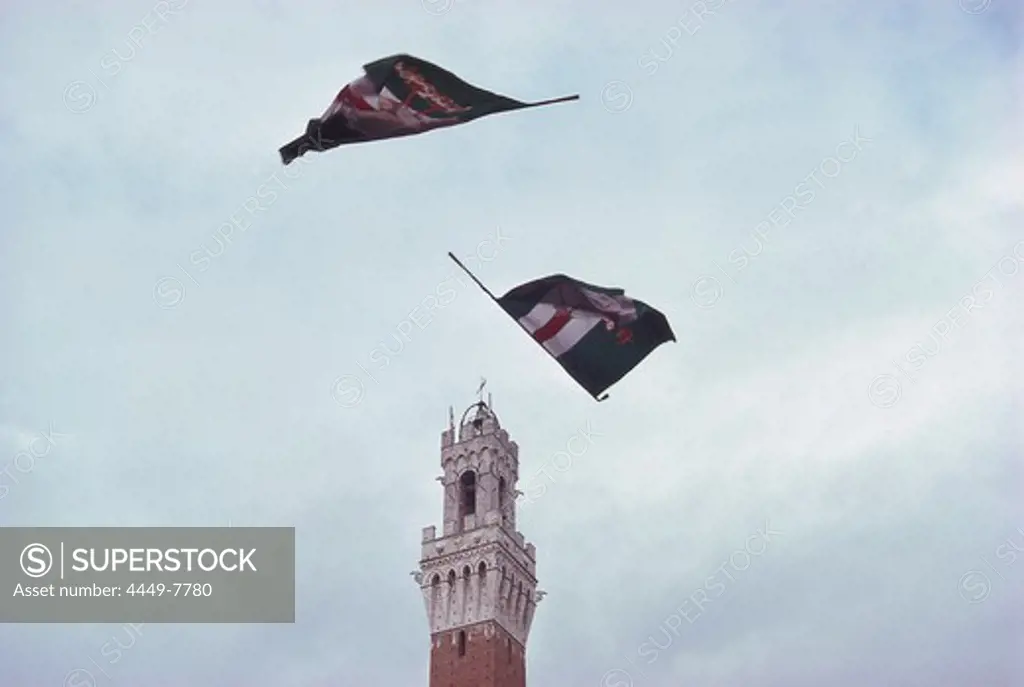 Flags flying in front of city hall tower, Palio, Siena, Tuscany, Italy