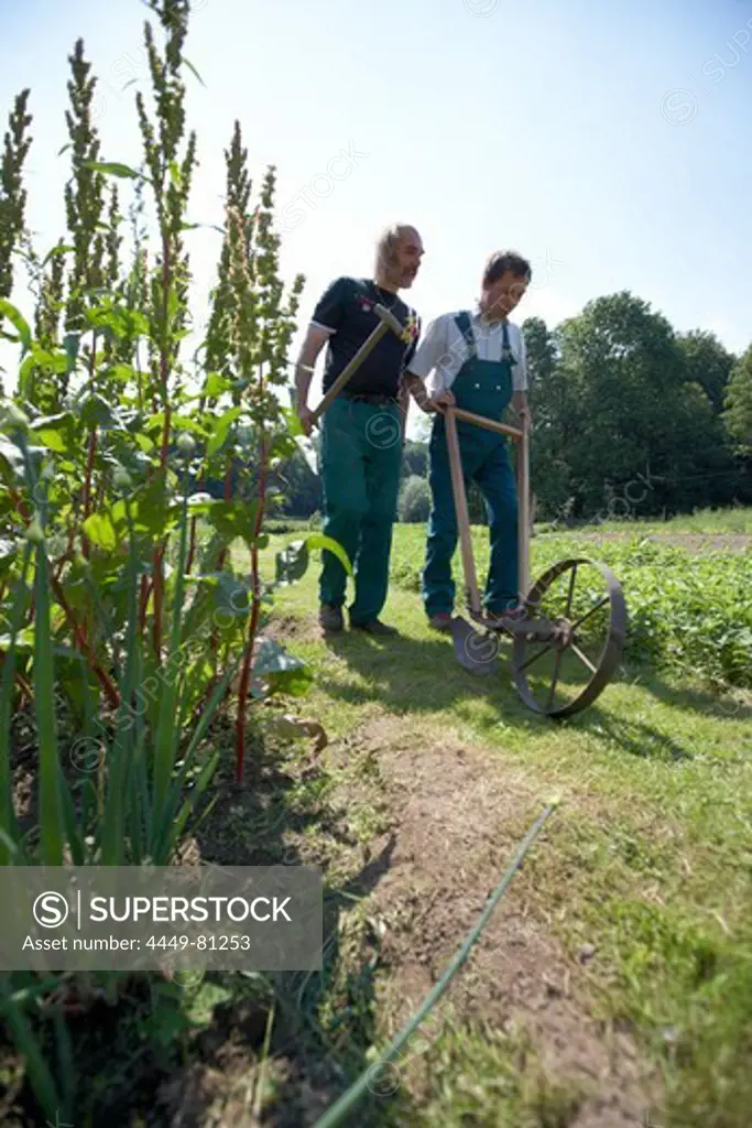 Farmer with cultivator, biological dynamic (bio-dynamic) farming, Demeter, Lower Saxony, Germany