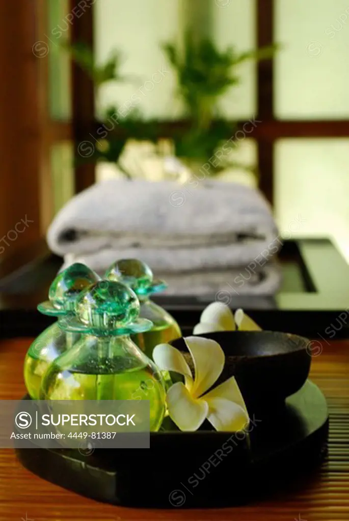 Detail of the spa at Four Seasons Hotel, Sayan, Ubud, Central Bali, Indonesia, Asia