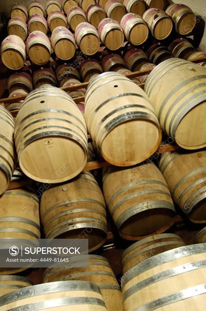 View at wine barrels at a wine cellar, Terlan, South Tyrol, Italy, Europe