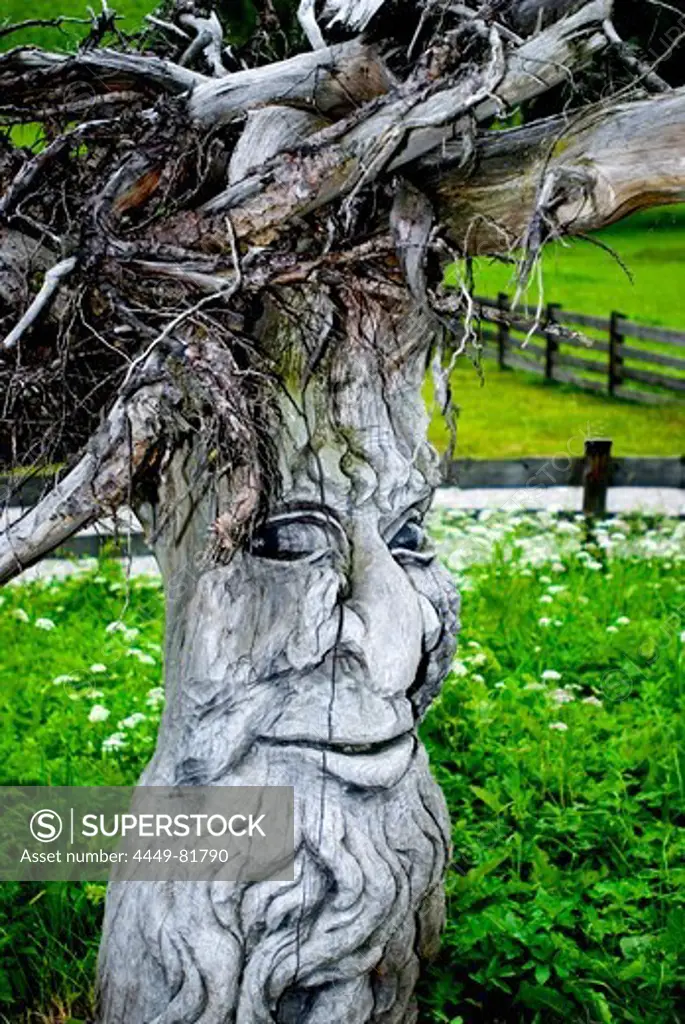 Carved wooden figure, Prettau, Valley Tauferer Ahrntal, South Tyrol, Italy, Europe