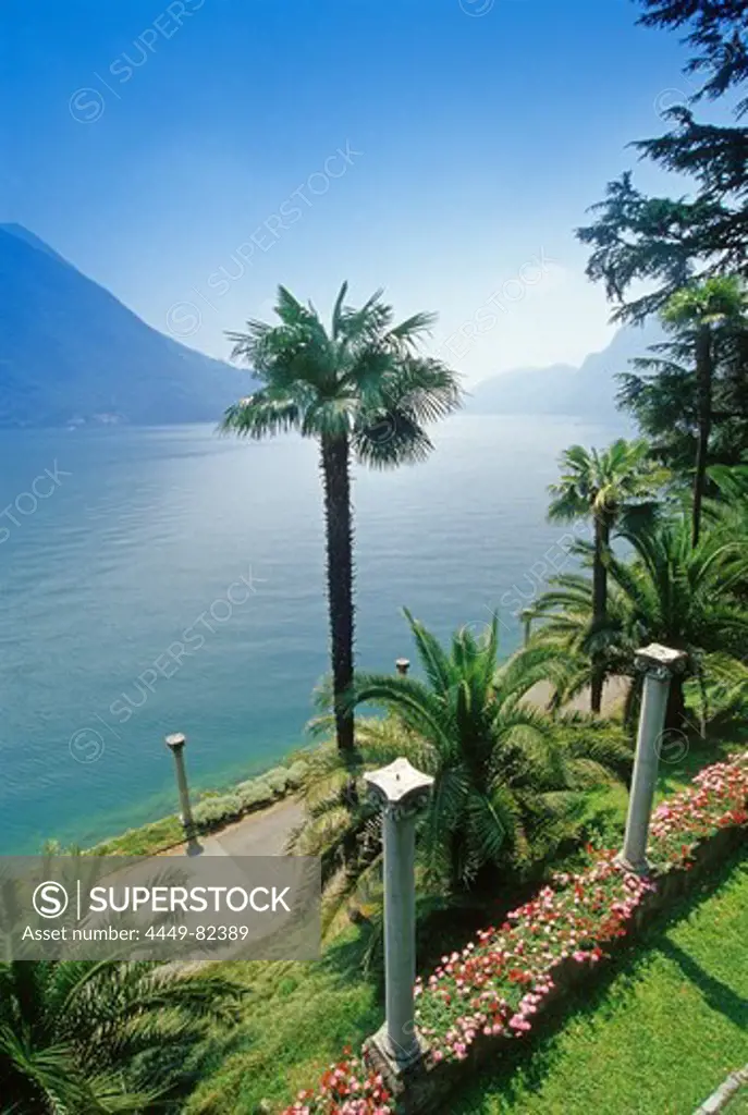 Palm trees at the shore of Lago di Lugano under blue sky, Ticino, Switzerland, Europe