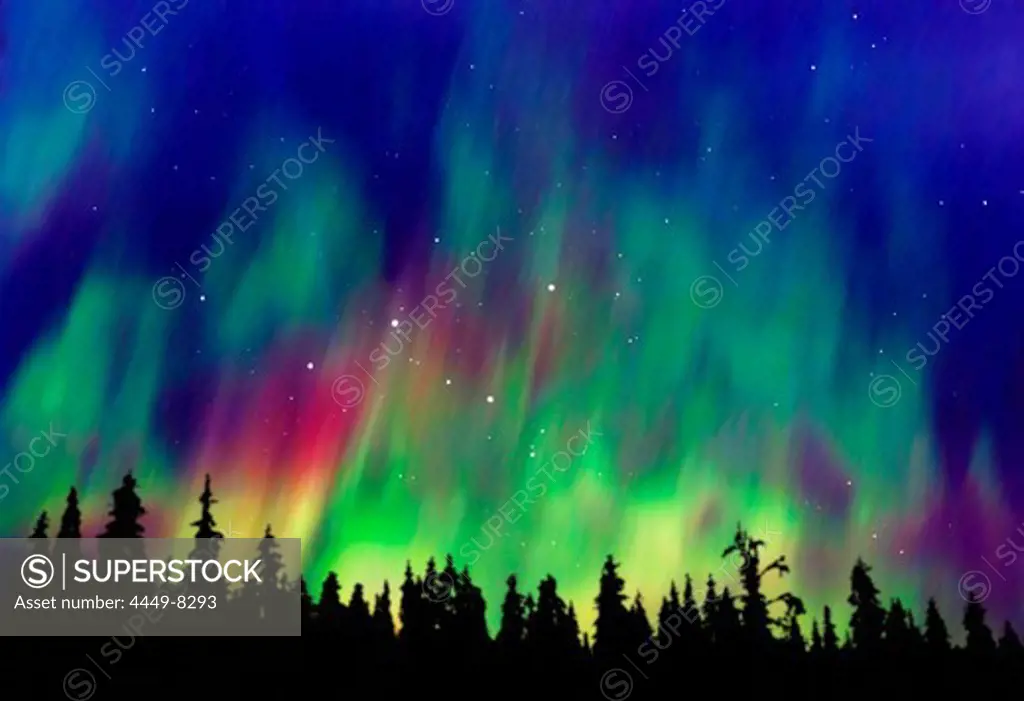 Northern lights above taiga forest, Alaska, USA, America