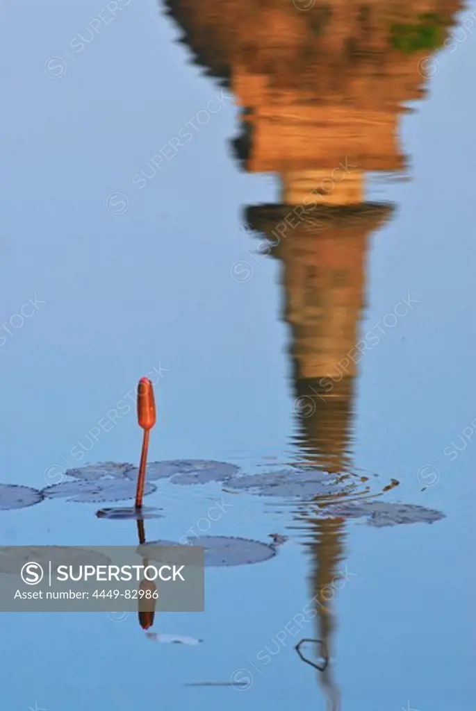 Lotus and Wat Sa Si reflecting in a pond, Sukothai Historical Park, Central Thailand, Asia