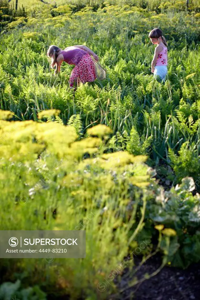 Two girls (6-9 years) in vegetable patch, Lower Saxony, Germany