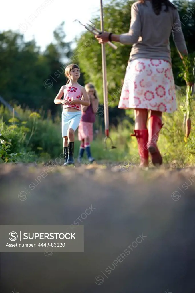 Woman and girls (6-9 years) in a vegetable garden, Lower Saxony, Germany