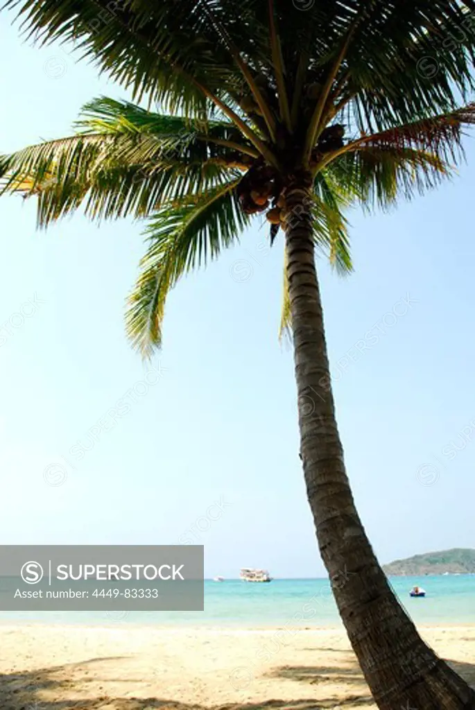 Tropical beach with palm tree, Koh Mak Island, Koh Chang archipelago, National Park Mu Ko Chang, Trat, Gulf of Thailand, Thailand, Asia