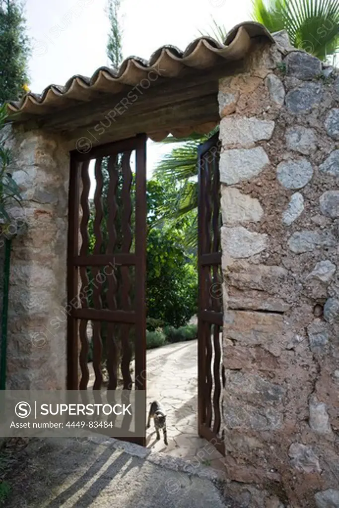 Cat in the garden gate of Ca's Curial Finca Hotel, Soller, Mallorca, Balearic Islands, Spain, Europe