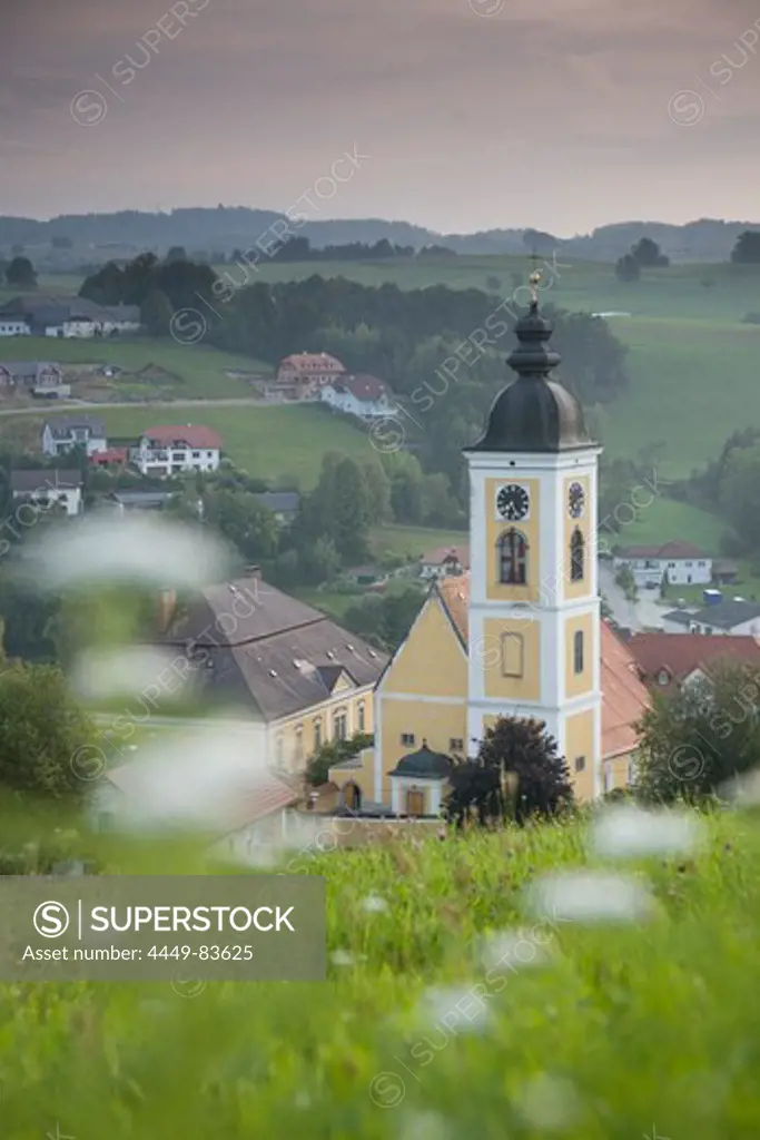 Parish church Assumption of Mary, Niederwaldkirchen, Muehlviertel, Upper Austria, Austria
