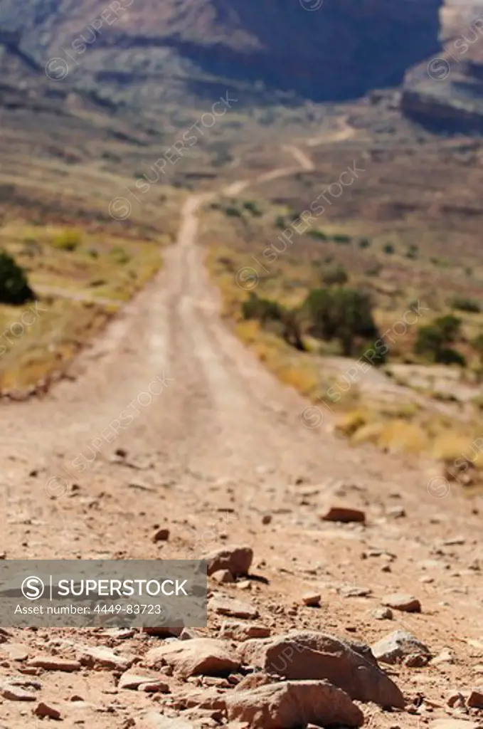 Dirt road, White Rim Trail, Moab, Utah, USA