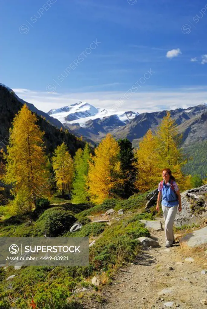 Woman hiking, valley Zufritt, Ortler range, Trentino-Alto Adige/South Tyrol, Italy