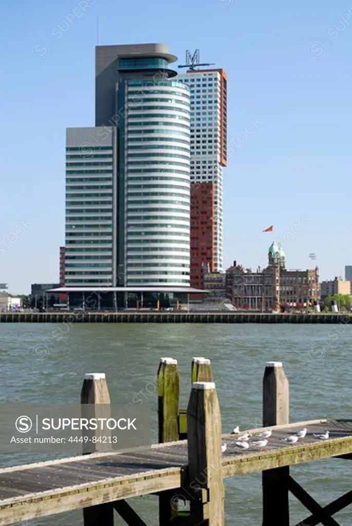 Seagulls on a jetty and modern architecture at the Wilhelminapier, World Port Center and Montevideo high-rise building, Nieuwe Maas River, Rotterdam, Zuid-Holland, South-Holland, Nederland, the Netherlands, Europe