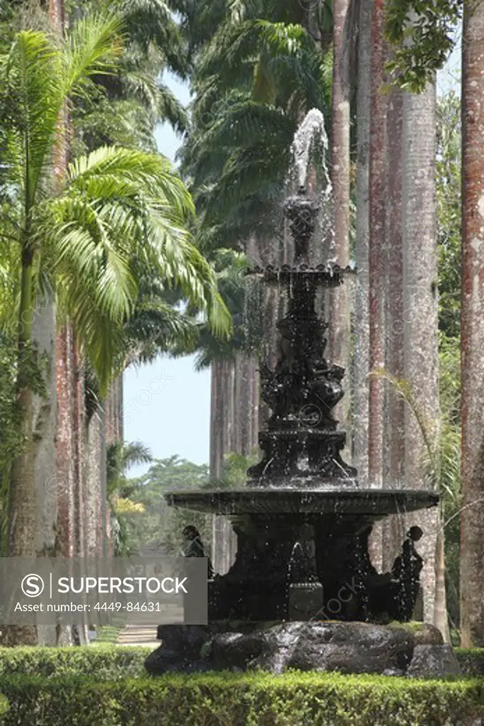 Fountain in Jardim Botanico, Botanical Garden, tropical park in Rio de Janeiro, Brazil