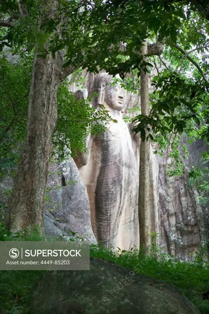 Larger than life sized standing Buddha named Sasseruwa at the cave monastery Rasvehera, Sri Lanka, Asia