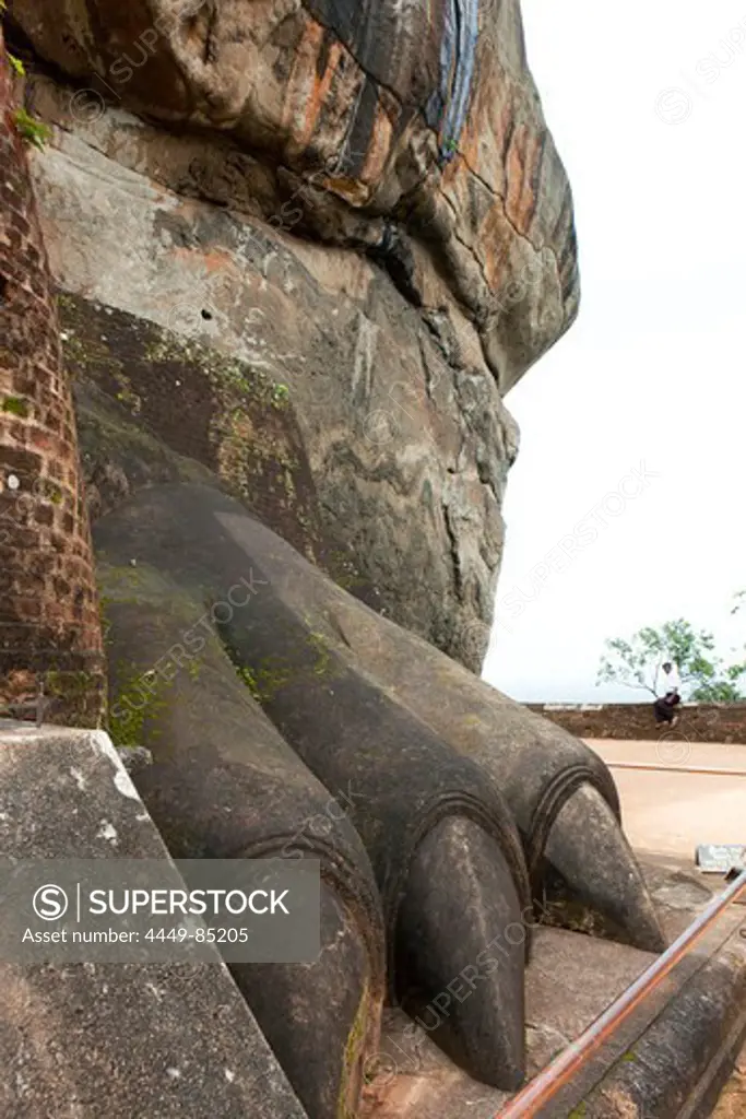 Lion paw at the start of the lion stairs to the plateau of the Sigiriya rock, Sigiriya, Sri Lanka, Asia