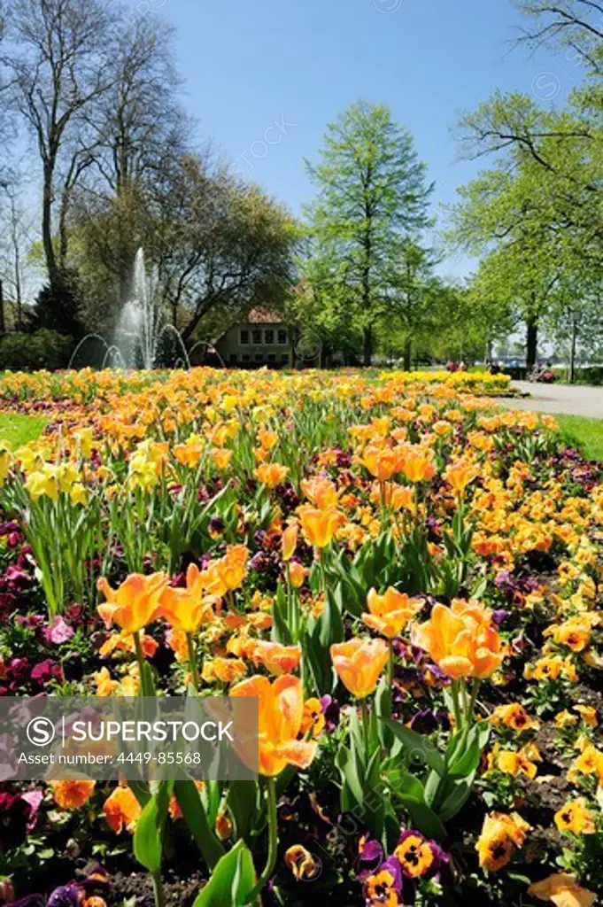 Flowerbed with fountain, Lindau, lake Constance, Bavaria, Germany
