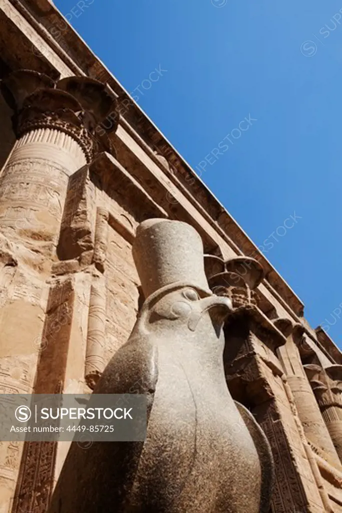 Statue of Horus at the entrance to the courtyard, Temple of Horus, Temple of Edfu, Edfu, Egypt, Africa