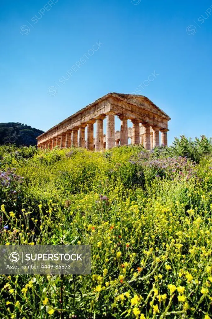 Temple, Segesta, Sicily, Italy