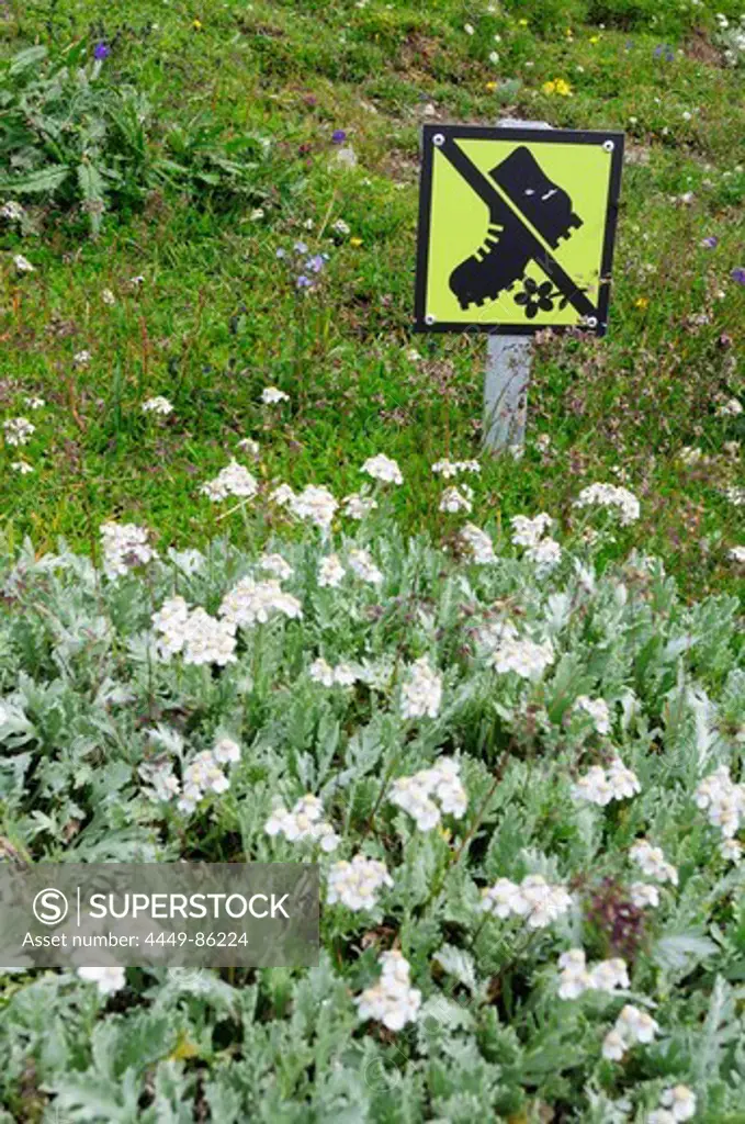 Sign, Don´t walk on the meadow, Glockner range, Hohe Tauern national park, Carinthia, Austria