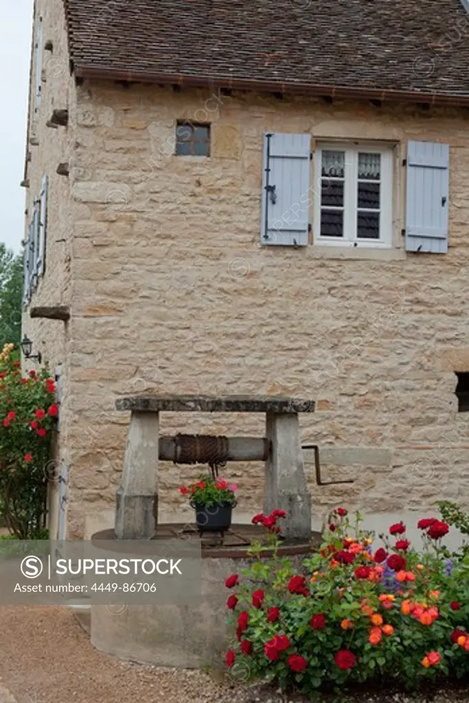 Well and roses in front of a house, Commune De Sercy, Chalon-sur-Saone, Saone-et-Loire, Bourgogne, France, Europe
