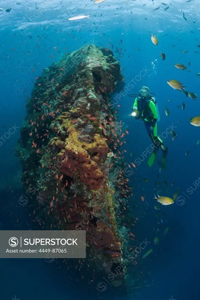 Scuba Diver at Liberty Wreck, Tulamben, Bali, Indonesia