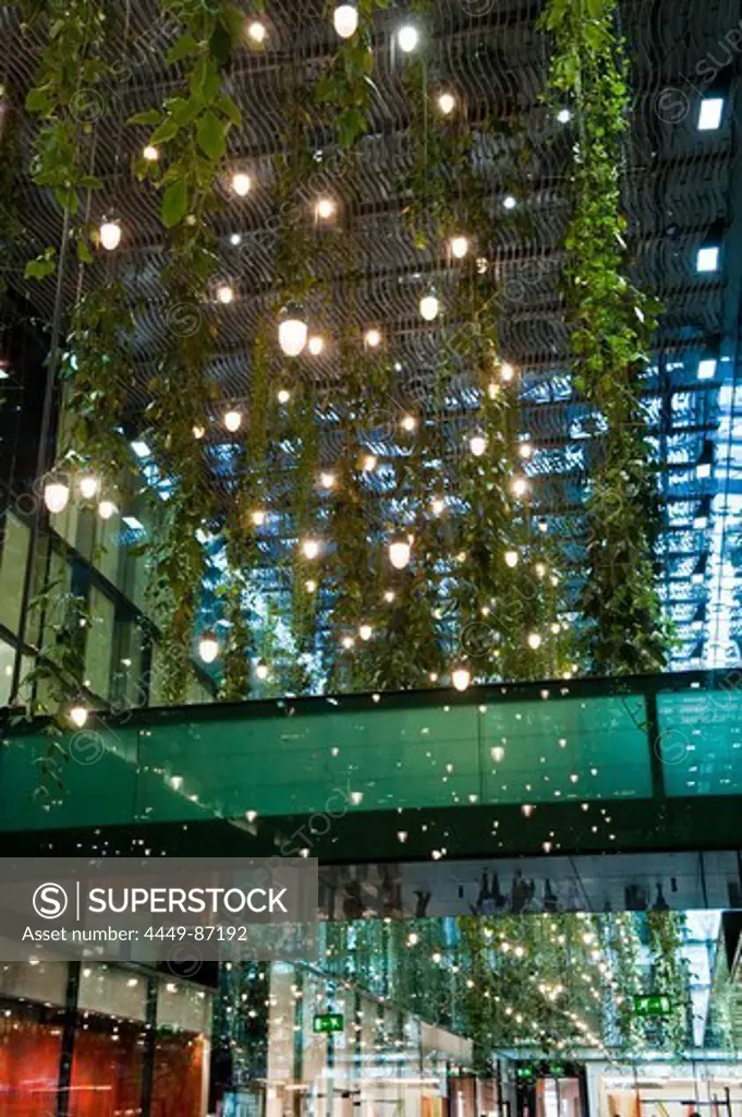 Climbing plants and lights on the ceiling, Fuenf Hoefe, Munich, Upper Bavaria, Bavaria, Germany