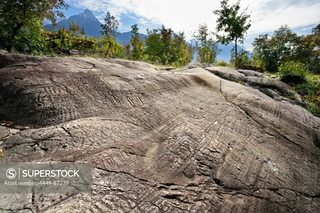 Slab with map, Etruscan rock drawing, Bedolina, Val Camonica, UNESCO World Heritage Site Val Camonica, Lombardy, Italy, Europe