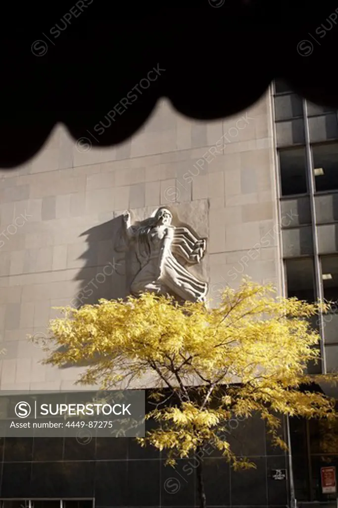 Autumnally deciduous tree in front of facade, Manhattan, New York City, New York, USA