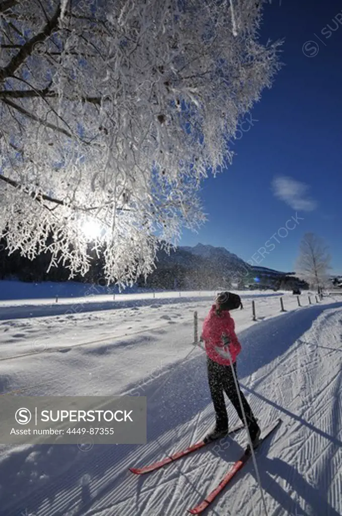 Woman cross-country skiing near Koessen in Kaiserwinkl, Winter in Tyrol, Austria