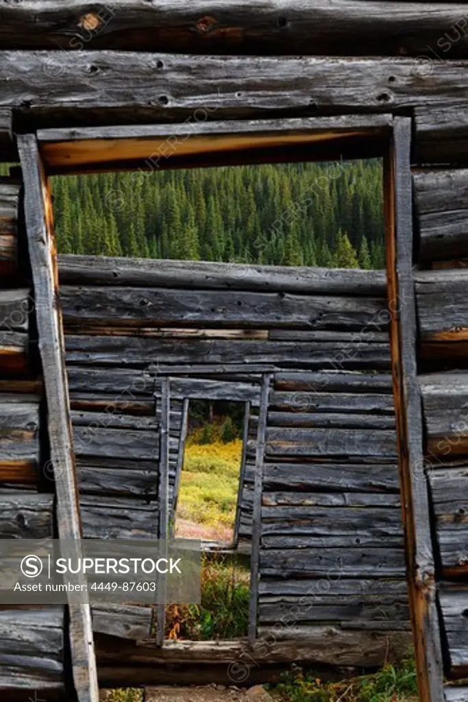 Ghost town Independence, Aspen, Rocky Mountains, Colorado, USA, North America, America