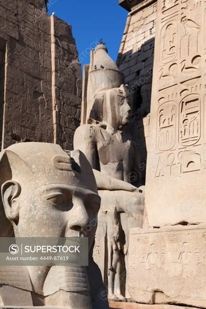 Colossal statue of Ramesses II in the entrance area of Luxor Temple, Luxor, Egypt, Africa