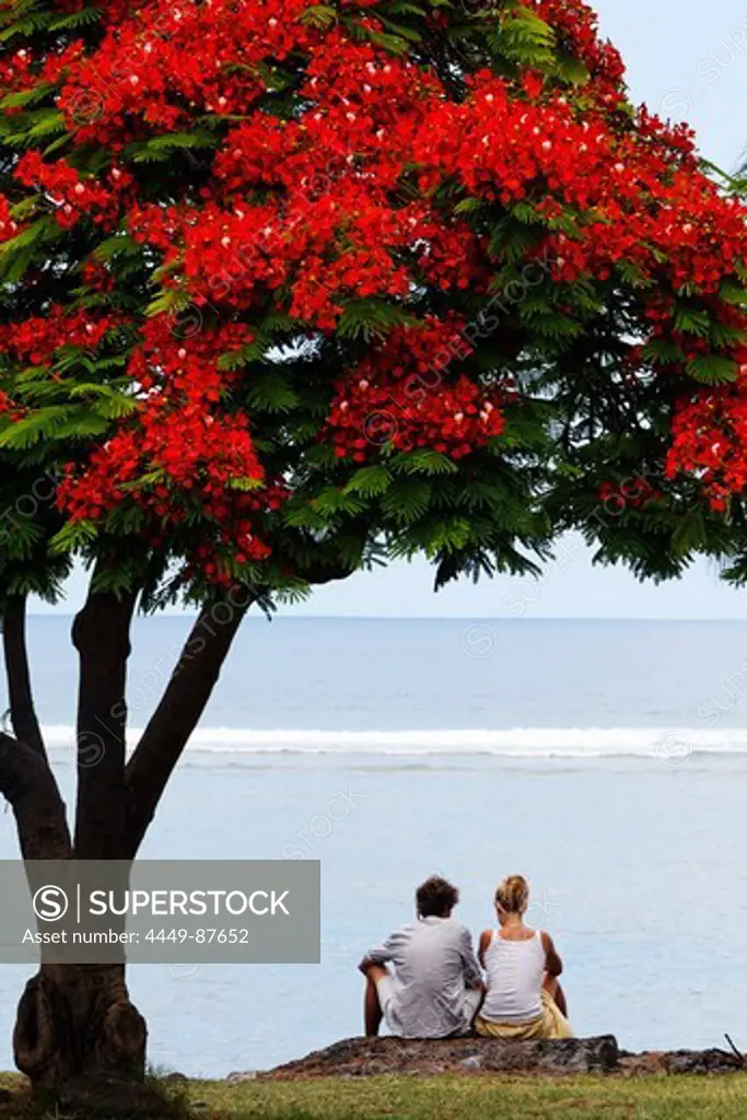 A couple sitting under a Flamboyant tree in Saint Leu, La Reunion, Indian Ocean