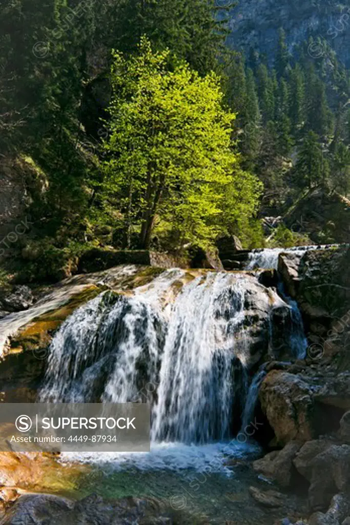 Waterfall at Poellacht gorge, East Allgaeu, Germany, Europe