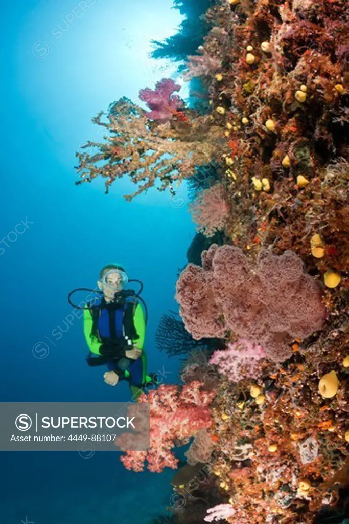 Scuba Diver and Coral Reef, Namena Marine Reserve, Fiji