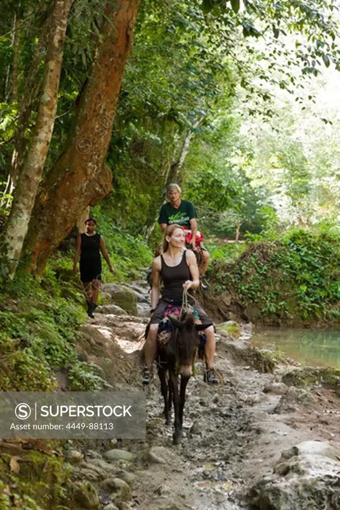 Horseback Tour to the Waterfall Cascada El Limon, Las Terrenas, Samana Peninsula, Dominican Republic