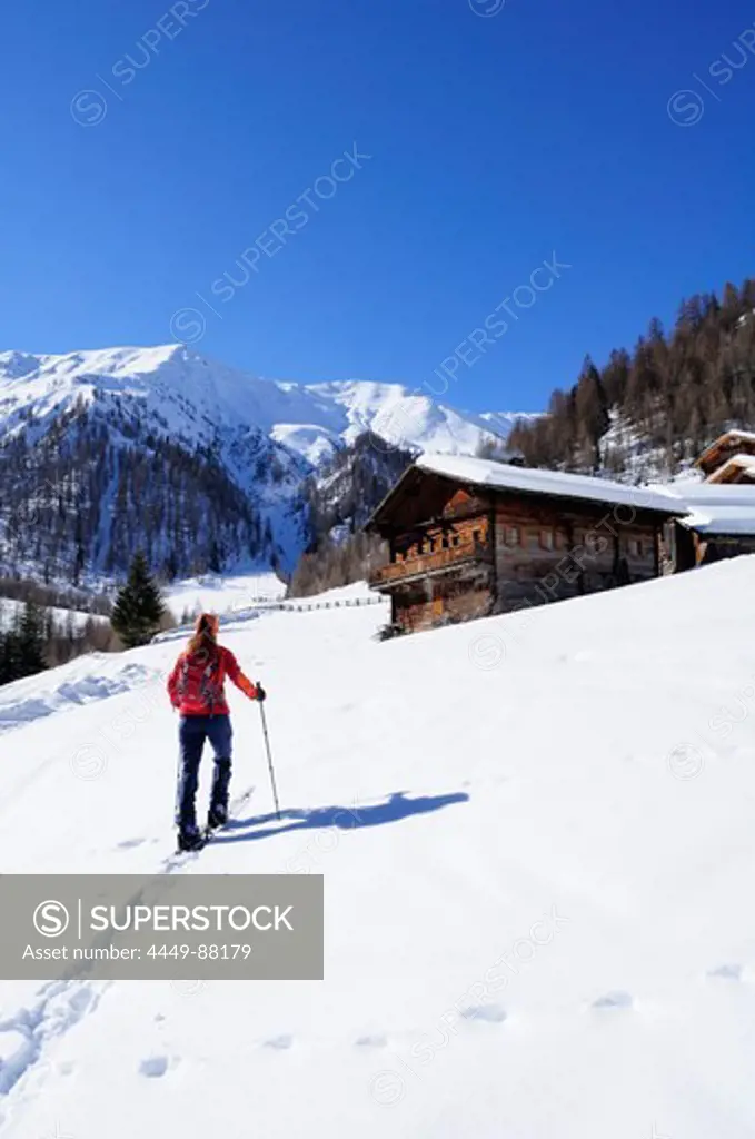 Woman ski touring, backcountry skiing, approaching alpine huts, Marchkinkele in the background, Marchkinkele, Villgraten range, Hohe Tauern mountain range, East Tyrol, Austria