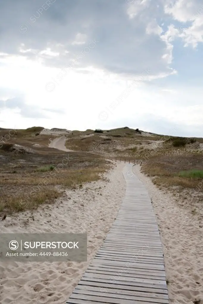 Wooden pathway across sand dune on Curonian Spit, near Klaipeda, Klaipedos, Lithuania