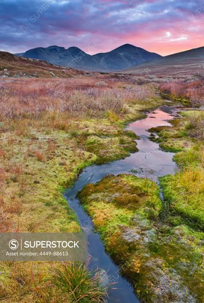 Mossy banks of a stream, Rondane National Park, Norway, Europe