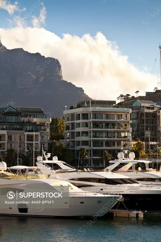 View over yachts and luxury homes the habour of V and A Waterfront, Cape Town, Western Cape, South Africa, RSA, Africa