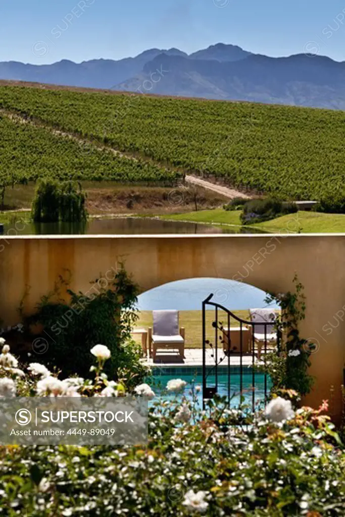Swimming Pool at  the Asara Wine Estate, Stellenbosch, Western Cape, South Africa