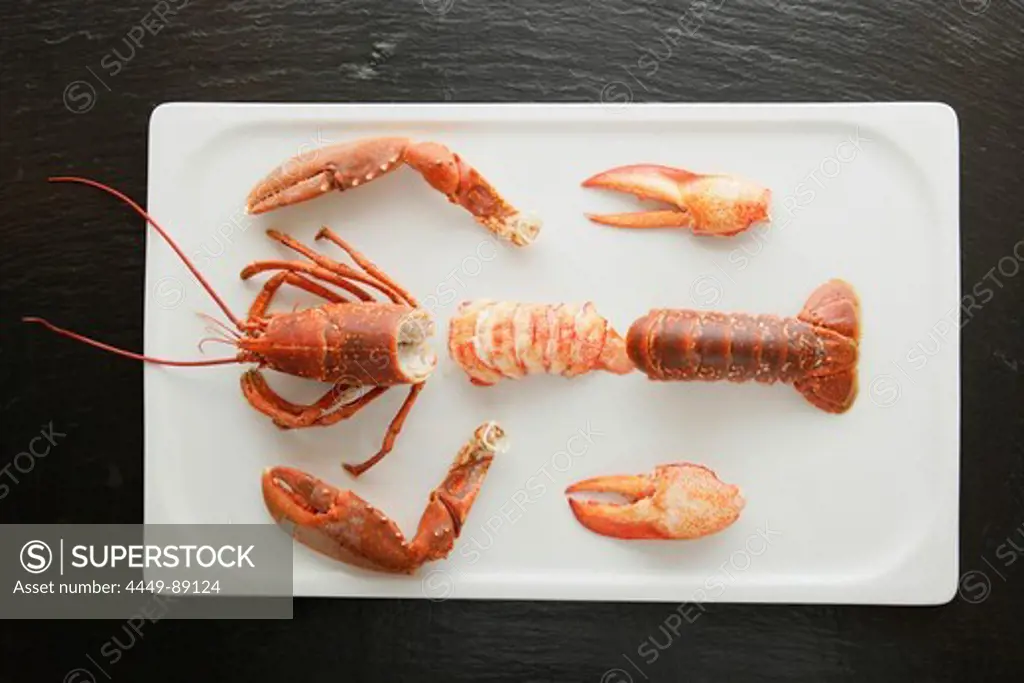 Lobster on a white platter, Seafood, Food