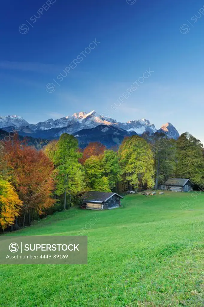 Wetterstein range with Alpspitze, Zugspitze and Waxensteine, meadow, farm shed and trees in autumn colours in foreground, Garmisch-Partenkirchen, Wetterstein range, Upper Bavaria, Bavaria, Germany, Europe