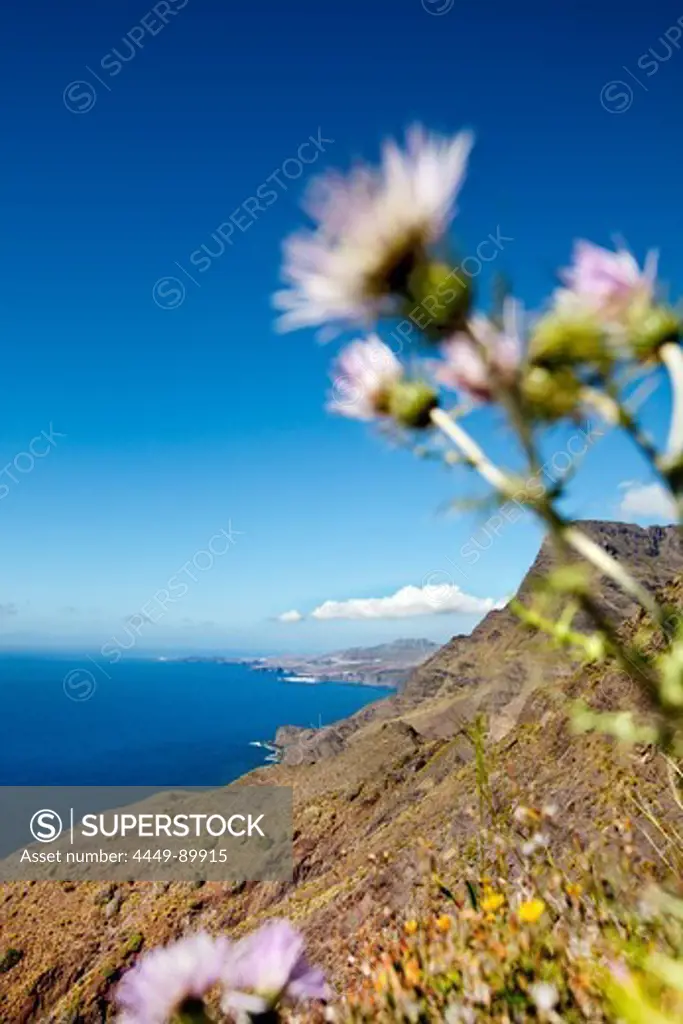 Westcoast mountains, Gran Canaria, Canary Islands, Spain