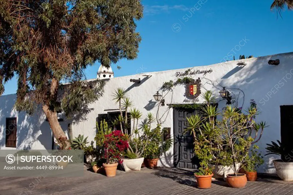Plants in front of a house, Teguise, Lanzarote, Canary Islands, Spain, Europe