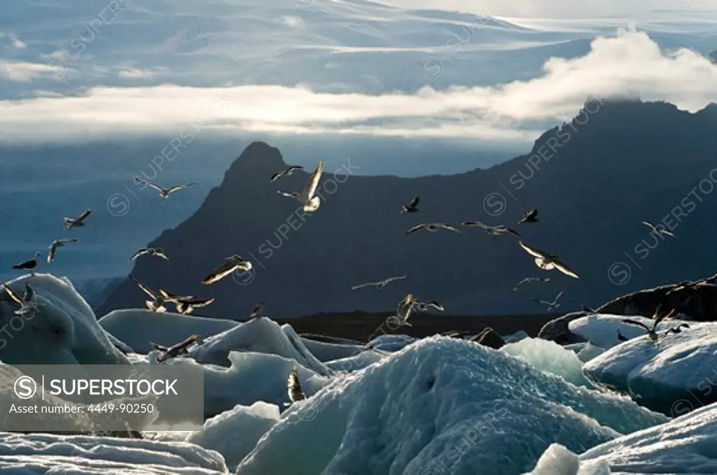 Jokulsarlon glacier lake, Iceland, Scandinavia, Europe