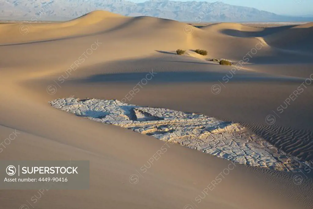 Mesquite Flat Sand Dunes, cracked clay and creosote bushes, Death Valley National Park, California, USA, America