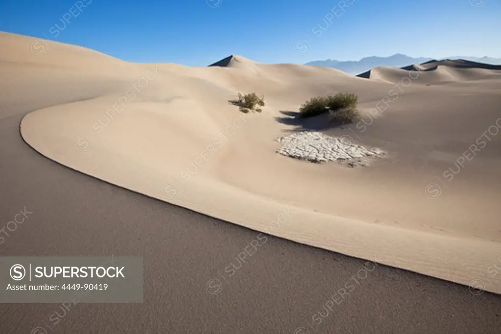 Mesquite Flat Sand Dunes, cracked clay and bushes, Death Valley National Park, California, USA, America