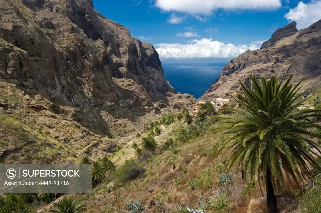 Mountain village of Masca in the Teno mountains, Tenerife, Canary Islands, Spain, Europe